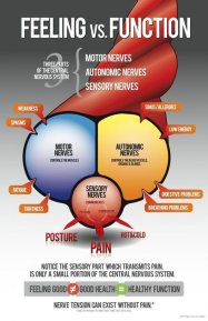Feeling vs. Function