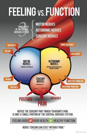 Feeling vs. Function